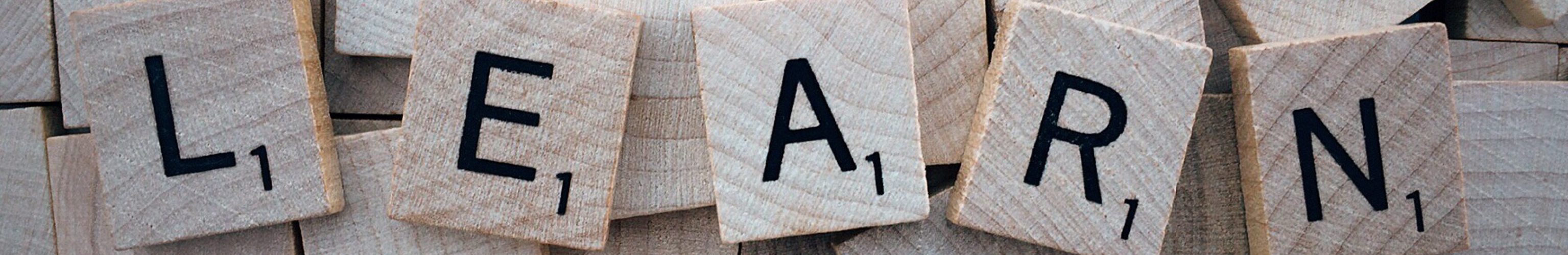 learning about Nantwich history