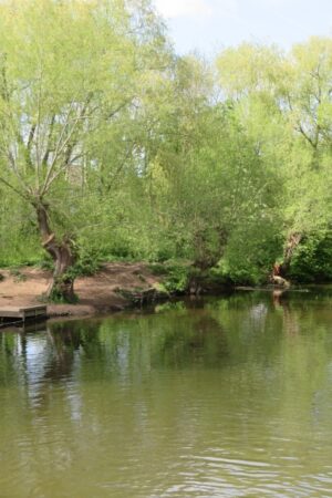 River Weaver