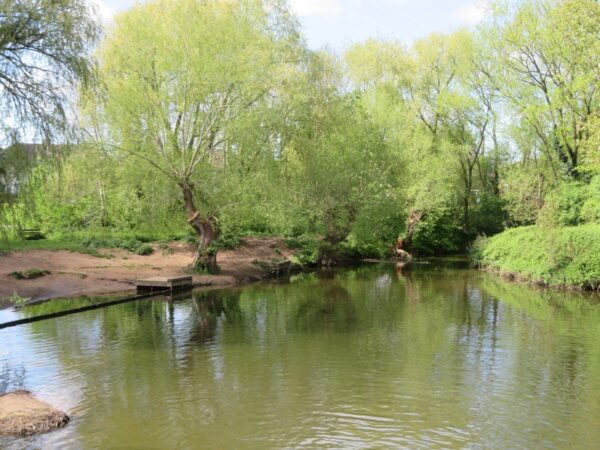 The River Weaver in Nantwich